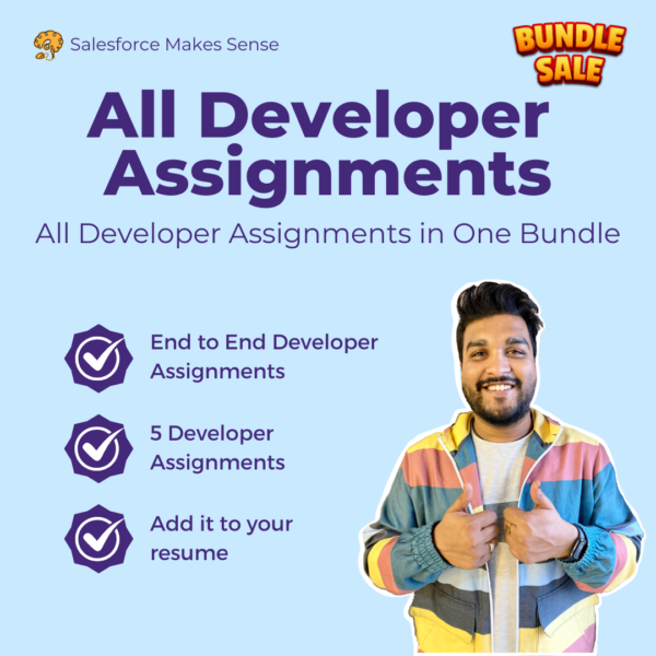 All Developer Assignments Bundle