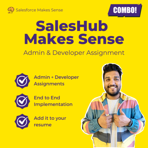 SalesHub Makes Sense - Admin & Developer Assignment